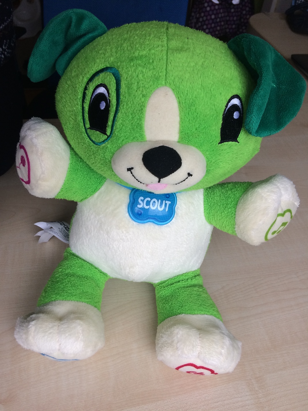 LeapFrog_Scout
